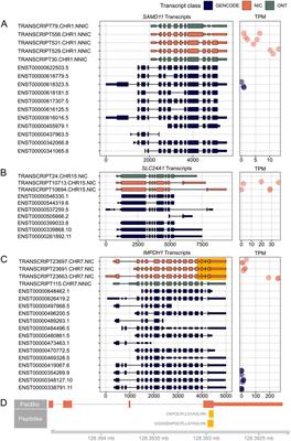 A proteogenomic atlas of the human neural retina